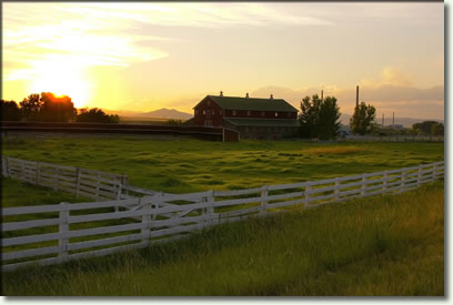 Photo of farm and field