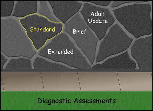a stone wall with standard (highlighted), extended, brief and adult update labeled on the wall with Diagnostic Assessments below 