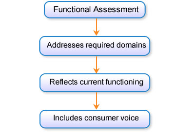 Functional Assessment addresses required domains, reflects current functioning and includes consumer voice