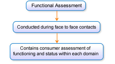 Functional Assessment conducted during face to face contacts and contains consumer assessment of functioning and status within each domain.