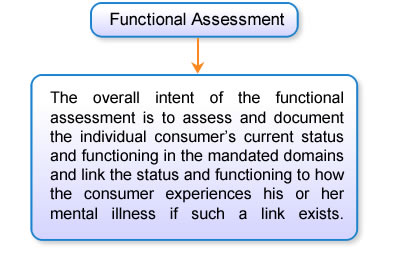 Functional Assessment, The overall intent of the functional assessment is to assess and document the individual consumer’s current status and functioning in the mandated domains and link the status and functioning to how the consumer experiences his or her mental illness if such a link exists.