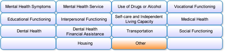 Domain Matrix