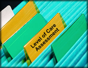 File folders labled Level of Care Assessment 