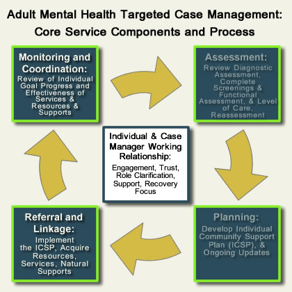 Adult MH-TCM Process