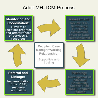 AMH-TCM Core Components