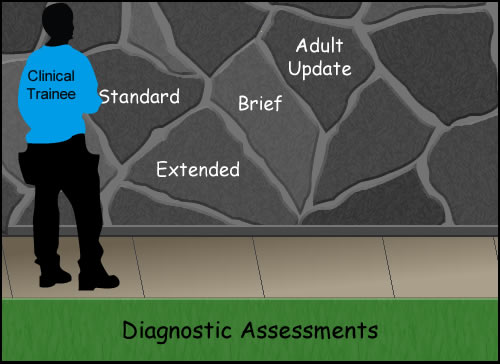 a stone wall with standard, extended, brief and adult update labeled on the wall with Diagnostic Assessments below and a contruction worker with Clinical Trainee on his back