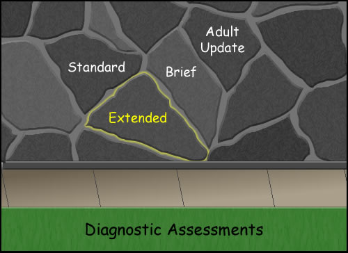 a stone wall with standard, extended (highlighted), brief and adult update labeled on the wall with Diagnostic Assessments below 