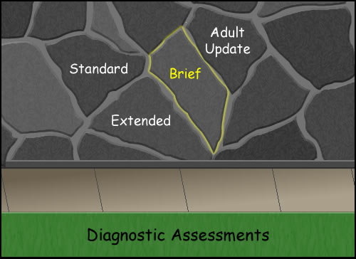 a stone wall with standard, extended, brief (highlighted) and adult update labeled on the wall with Diagnostic Assessments below 