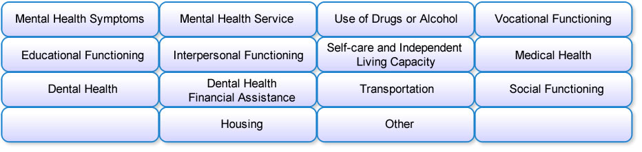 fourteen domains to be addressed as part of each functional assessment.