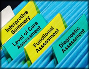 file folders with: -Diagnostic Assessment -Functional Assessment -Level of Care Assessment -Interpretive Summary labels. 
