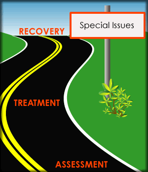 roadmap with a sign that says:  Special Issues