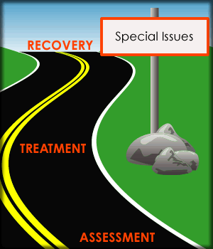 roadmap with a sign that says:  Special Issues