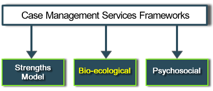 Case Management Services Frameworks; Strenghts Model, Bio-ecological, Psychosocial. Bio-ecological highlighted.