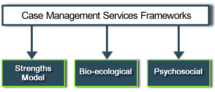Case Management Services Frameworks; Strenghts Model, Bio-ecological, Psychosocial.