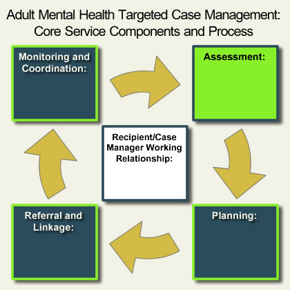 AMH-TCM Core Components - Assessment highlighted