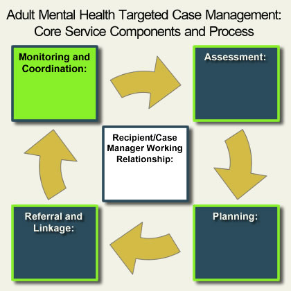 AMH-TCM Core Components - Referral and Monitoring and Coordination highlighted