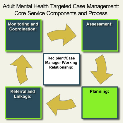 AMH-TCM Core Components - Planning highlighted