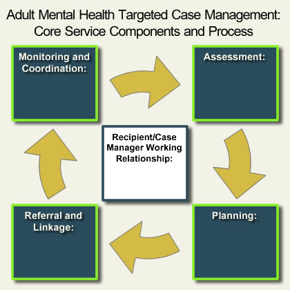 Adult MH-TCM Process