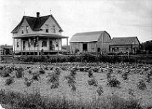 Minnesota farmstead.