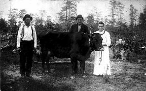 Family and cow.